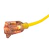 50 FT. 12 GAUGE 3-CONDUCTOR 300V SJTW EXTENSION CORD